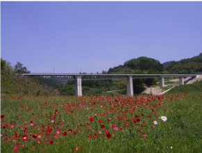 志津見ダム志津見大橋